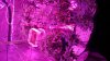 20160730_200436.jpg