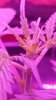 20160730_120228.jpg