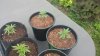 20160731_081738.jpg