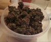 20160730_083508.jpg