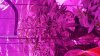 20160801_101429.jpg