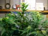day30f.JPG