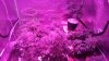 20160809_094457.jpg
