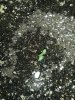 20160727_143418.jpg