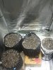 20160810_151328.jpg