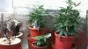 2012-06-01 12-50-45.217.jpg