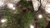 20160814_234500.jpg