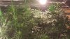 20160814_234534.jpg
