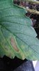 IMG_20160815_123857.jpg