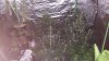 20160817_020744.jpg