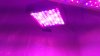 20160819_185516.jpg