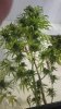 20160822_141919.jpg