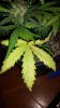 20160823_155246.jpg