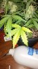 20160823_155346.jpg