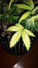 20160823_155605.jpg