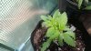 20160825_131453.jpg