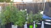 20160826_183310.jpg