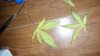 20160827_171348.jpg