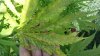 20160828_112224.jpg