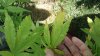20160828_112245.jpg