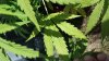 20160828_112303.jpg