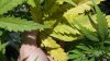 20160828_112313.jpg