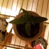 20160829_181905.jpg