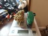 20160830_004752.jpg
