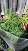 20160830_135857.jpg