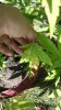 20160830_140201.jpg