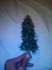 IMG_20160830_223519.jpg