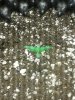20160830_024148.jpg