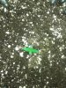 20160829_223650.jpg