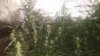 20160830_144115.jpg