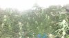 20160830_144105.jpg