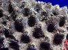 100_3985.jpg