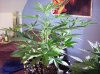100_3979.jpg