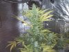 20120606152304.jpg