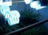 Lights (1).jpg