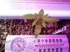 2012-06-08 12.40.59.jpg