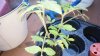 20160904_101152.jpg