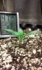 20160903_004203.jpg