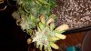 20160905_082116.jpg