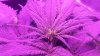 20160906_173608.jpg