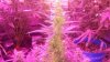 20160913_020301.jpg
