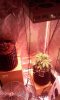 20160913_182130.jpg