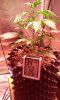 20160913_182455.jpg