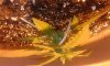 20160917_140328.jpg