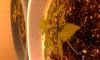 20160917_140204.jpg
