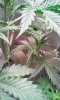20160917_202931.jpg